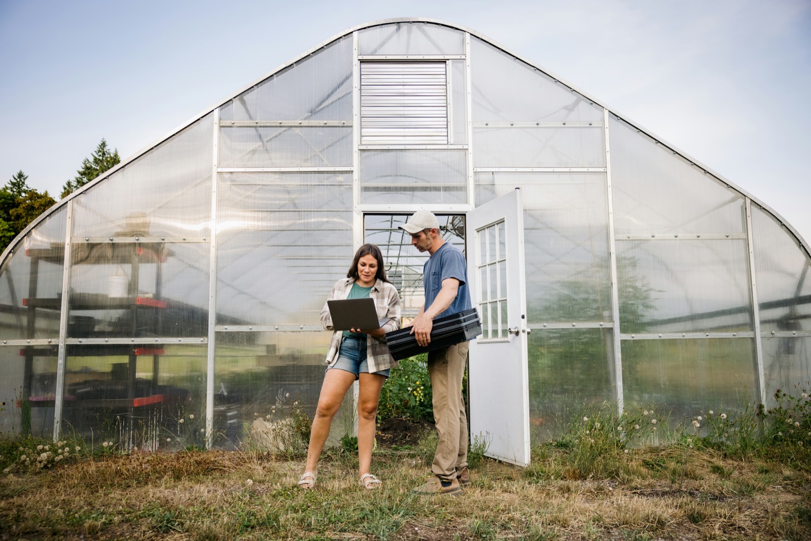 Field Signal AgTech